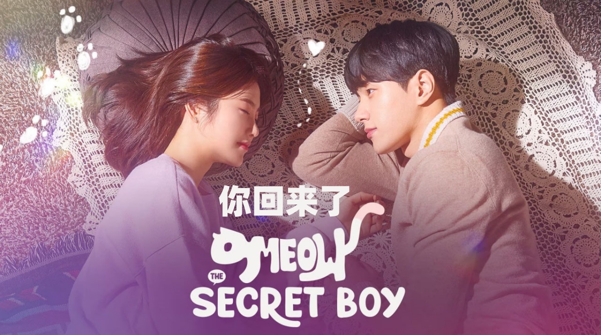 你回来了封面图