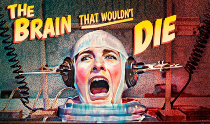 新不死之脑封面图