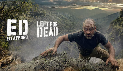 求生之路封面图