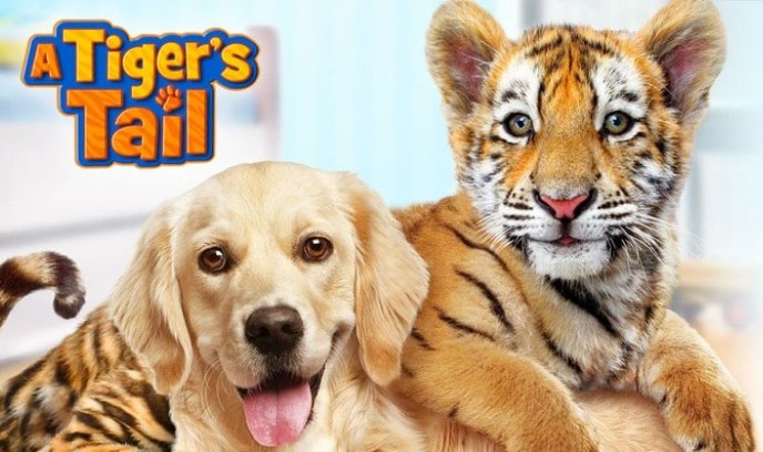 老虎的尾巴封面图