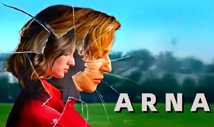 蜘蛛 2019封面图