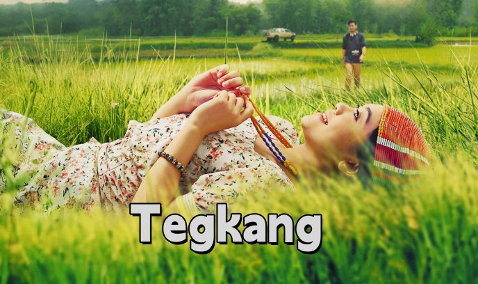 彩虹 马来西亚版封面图