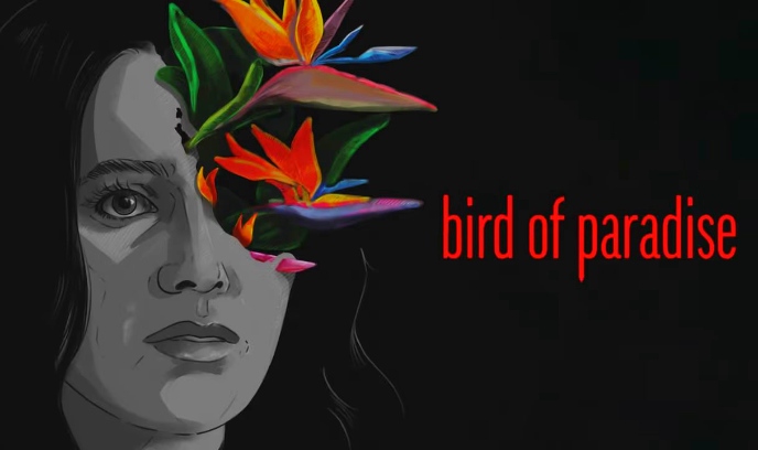 好莱坞梦魇封面图