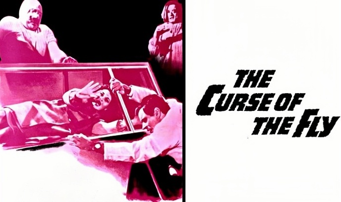变蝇人的诅咒封面图