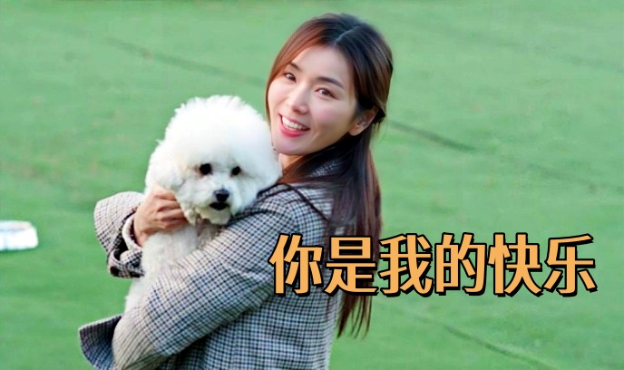 你是我的快乐封面图