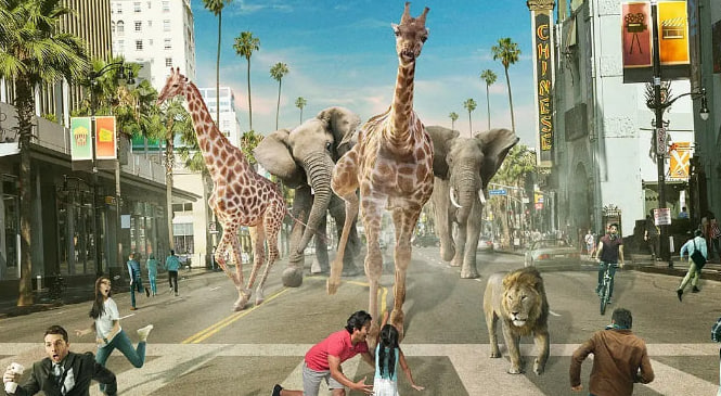 紧急呼救 第五季封面图