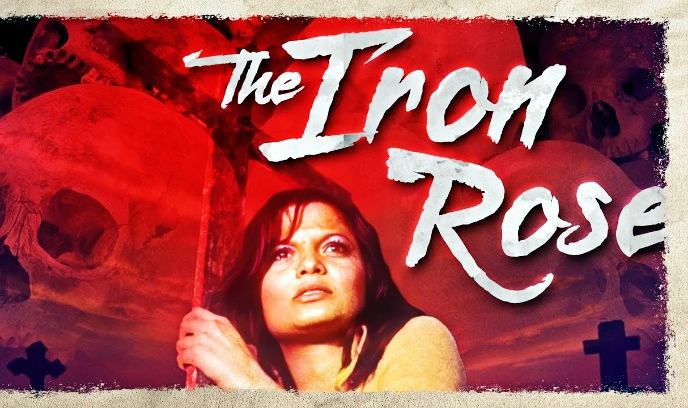 铁玫瑰封面图