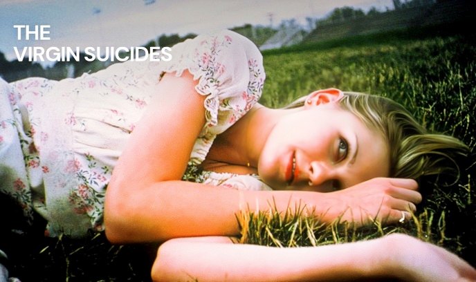 处女之死封面图