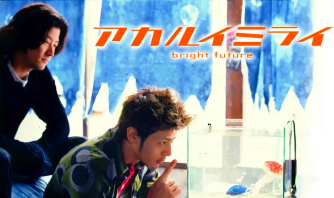 光明的未来封面图