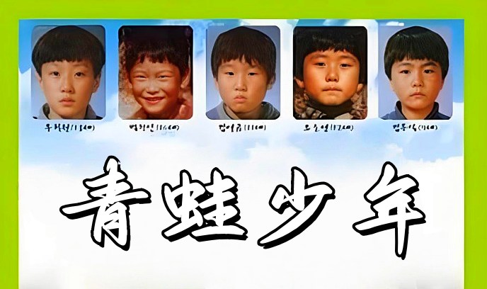 青蛙少年封面图