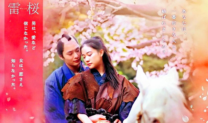雷樱封面图