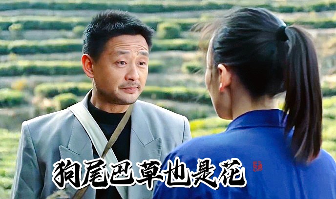 狗尾巴草也是花封面图