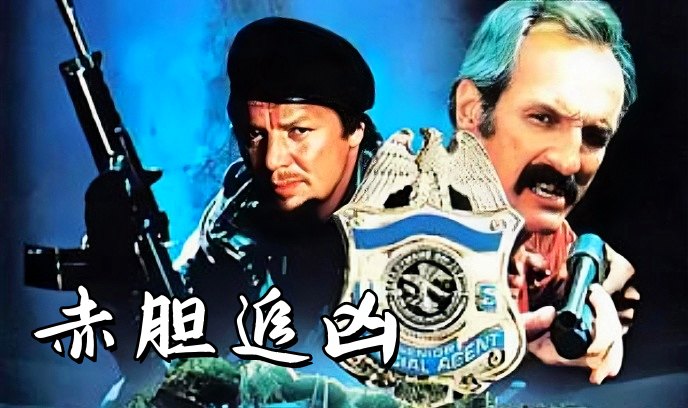 赤胆追凶封面图