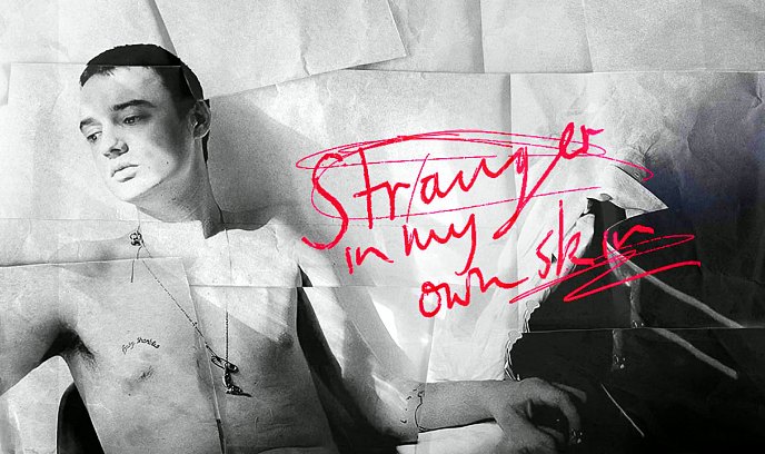 彼得·多赫提：在自己皮囊里的陌生人封面图