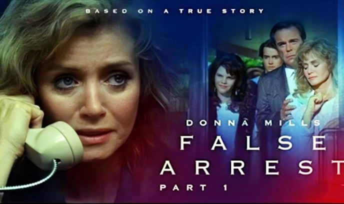 错误逮捕封面图