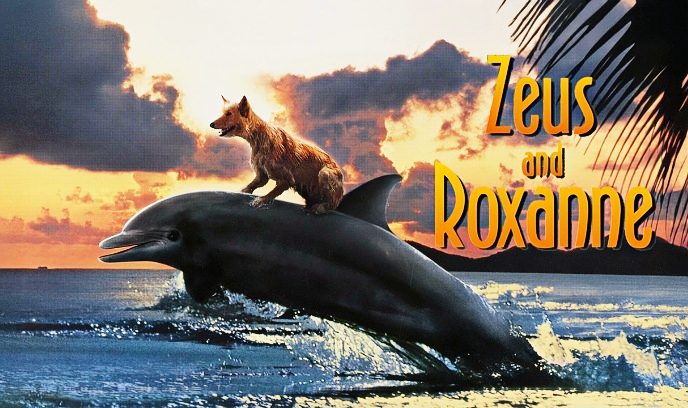 心有灵犀封面图