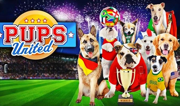 狗狗同盟封面图