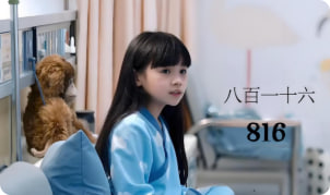 八百一十六封面图