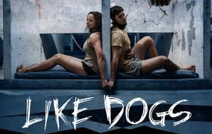 人模狗样封面图