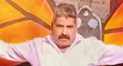 黑暗羽化: 帝王斑蝶守护者命案疑云封面图