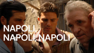 那不勒斯的故事封面图