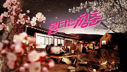 燃烧的青春封面图