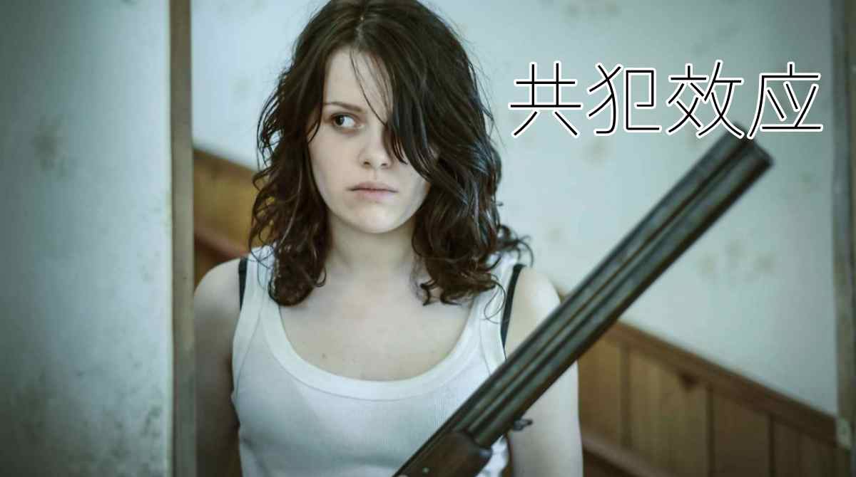 共犯效应封面图
