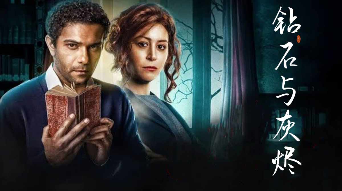 钻石与灰烬封面图