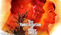 再世风流劫封面图