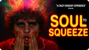 挤压灵魂封面图