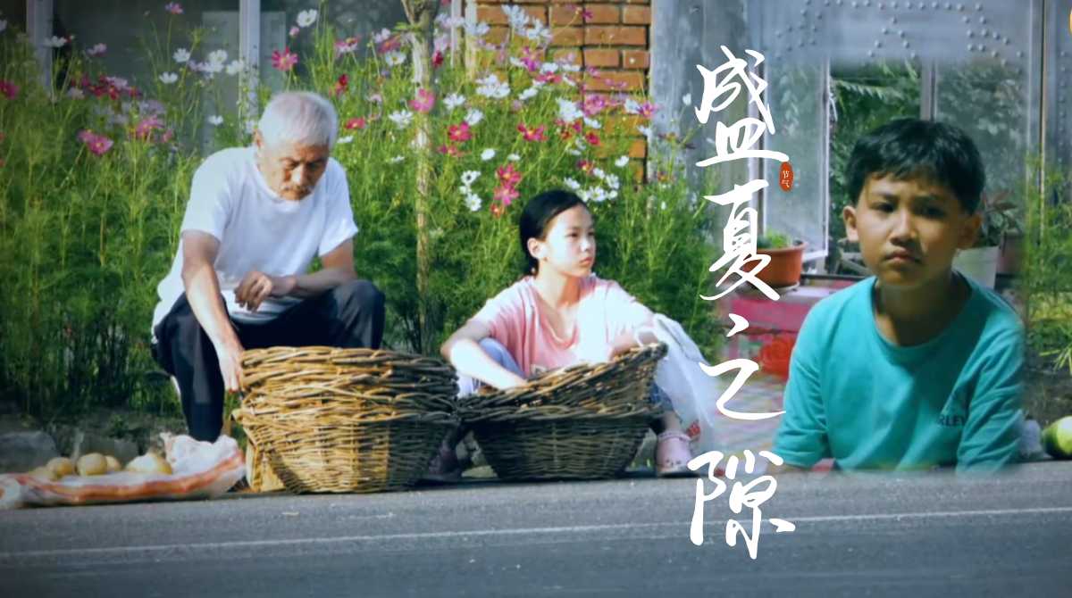 盛夏之隙封面图