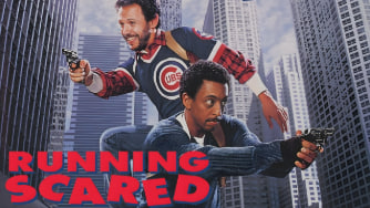 双星赶月封面图