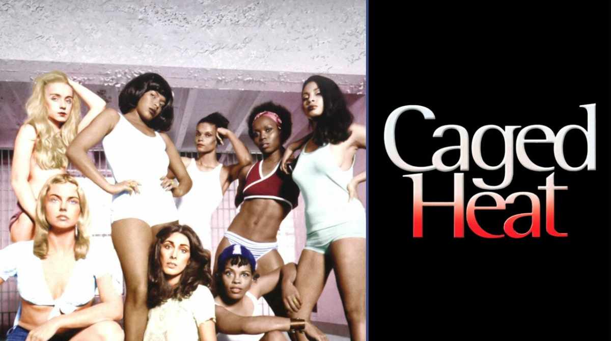 监狱风云录封面图