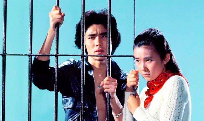 再见，夏日之光封面图