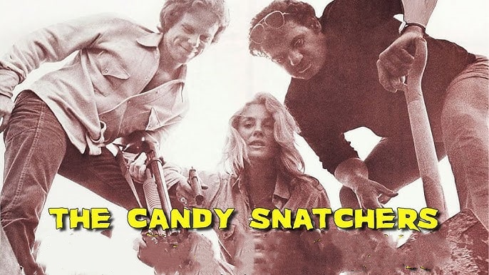 蜜糖绑架者封面图