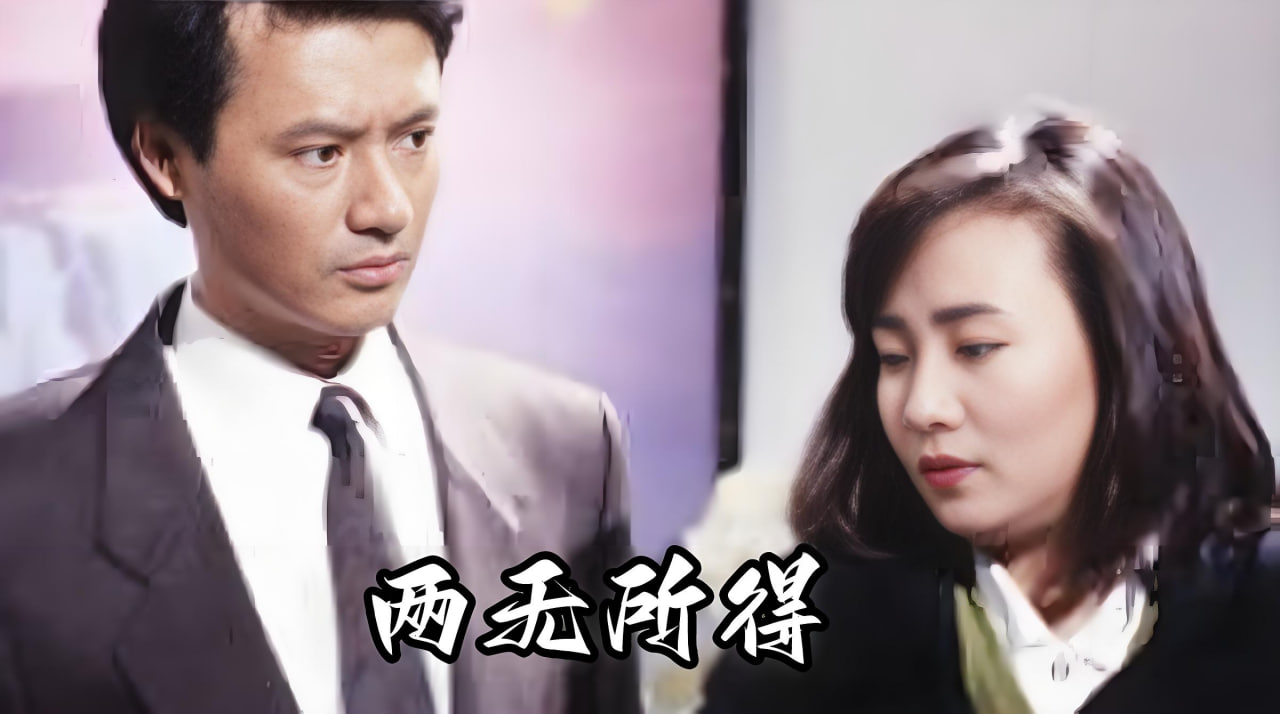 两无所得封面图