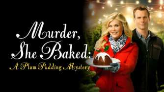 圣诞布丁迷案封面图