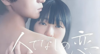 非人之恋封面图