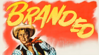 虎穴藏龙封面图