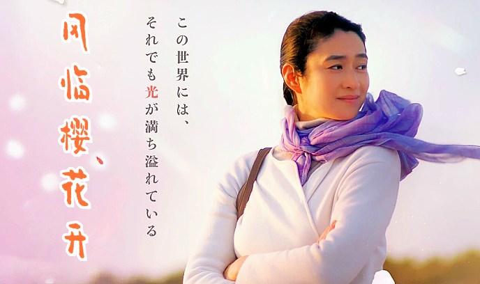 风临樱花开封面图