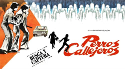 街头勇士2封面图