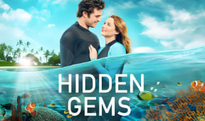 隐藏的宝石封面图