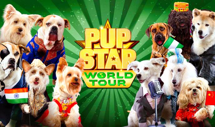 萌犬好声音3封面图