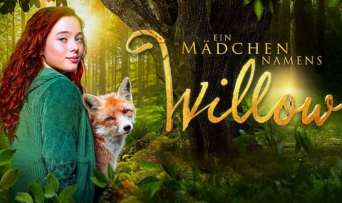 柳树姑娘封面图