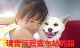 请告诉我去车站的路封面图