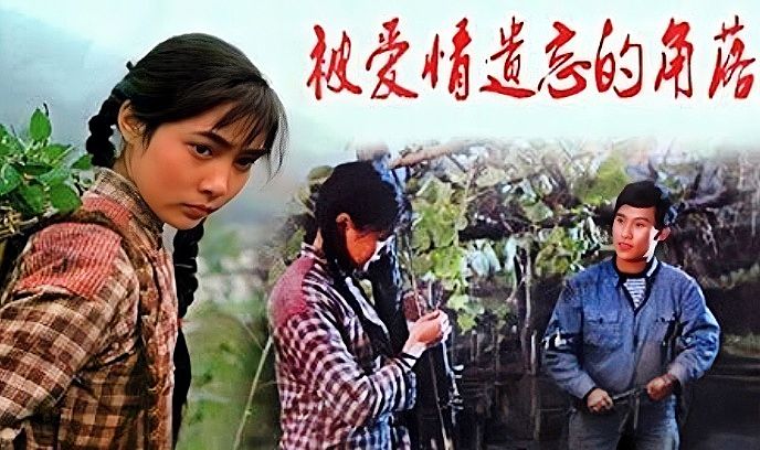 被爱情遗忘的角落封面图