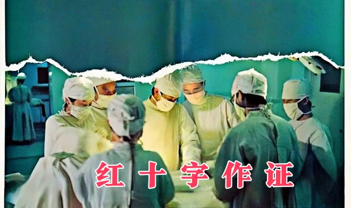红十字作证封面图