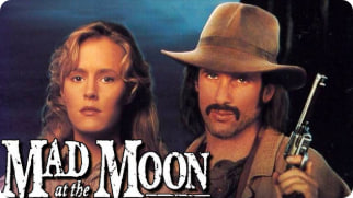 月夜惊魂封面图