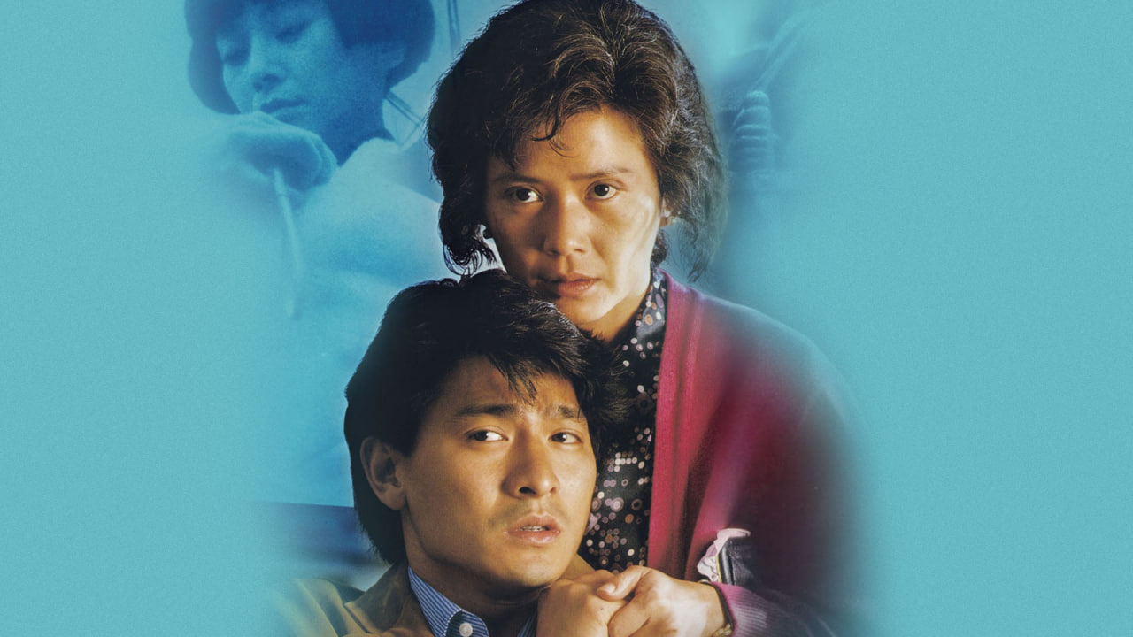 法内情大结局封面图