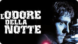 夜的气息封面图